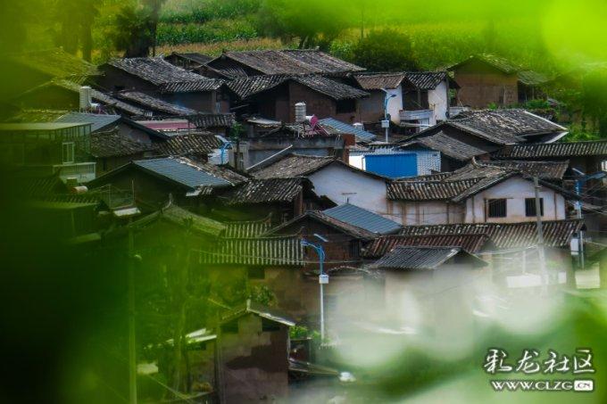 章献明肃皇后刘娥是个怎样的人?专区-最新热门话题讨论-红迪网平台